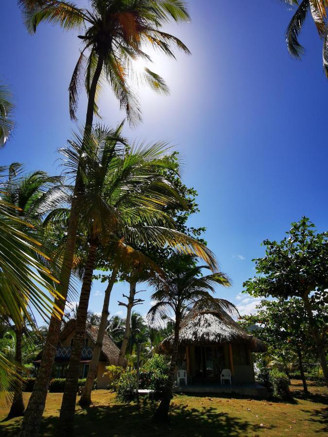 Hotel Playa Mandala Palomino Bagian luar foto