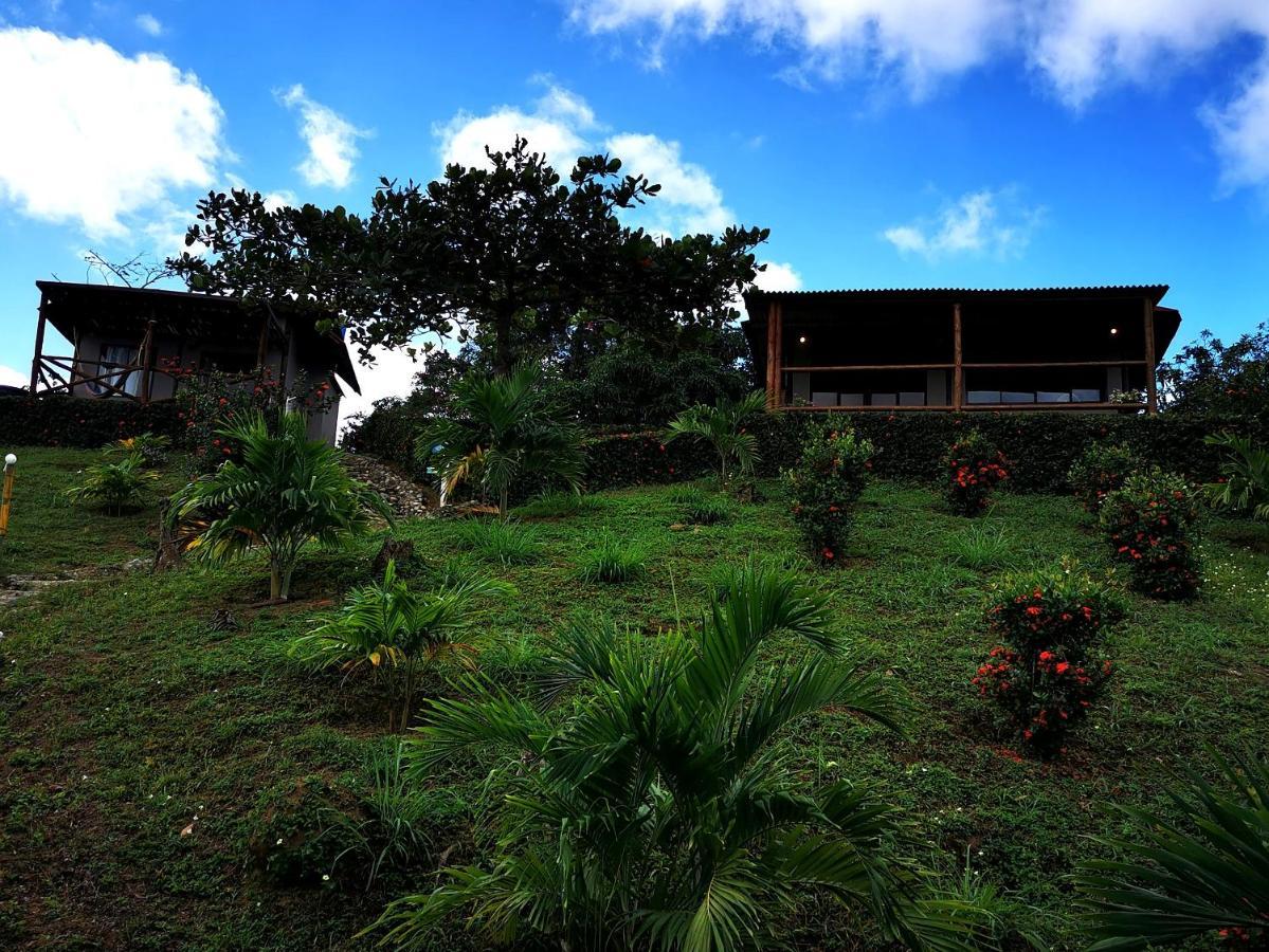 Hotel Playa Mandala Palomino Bagian luar foto