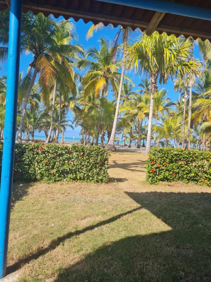 Hotel Playa Mandala Palomino Bagian luar foto