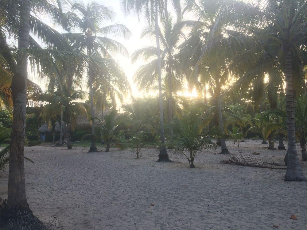Hotel Playa Mandala Palomino Bagian luar foto