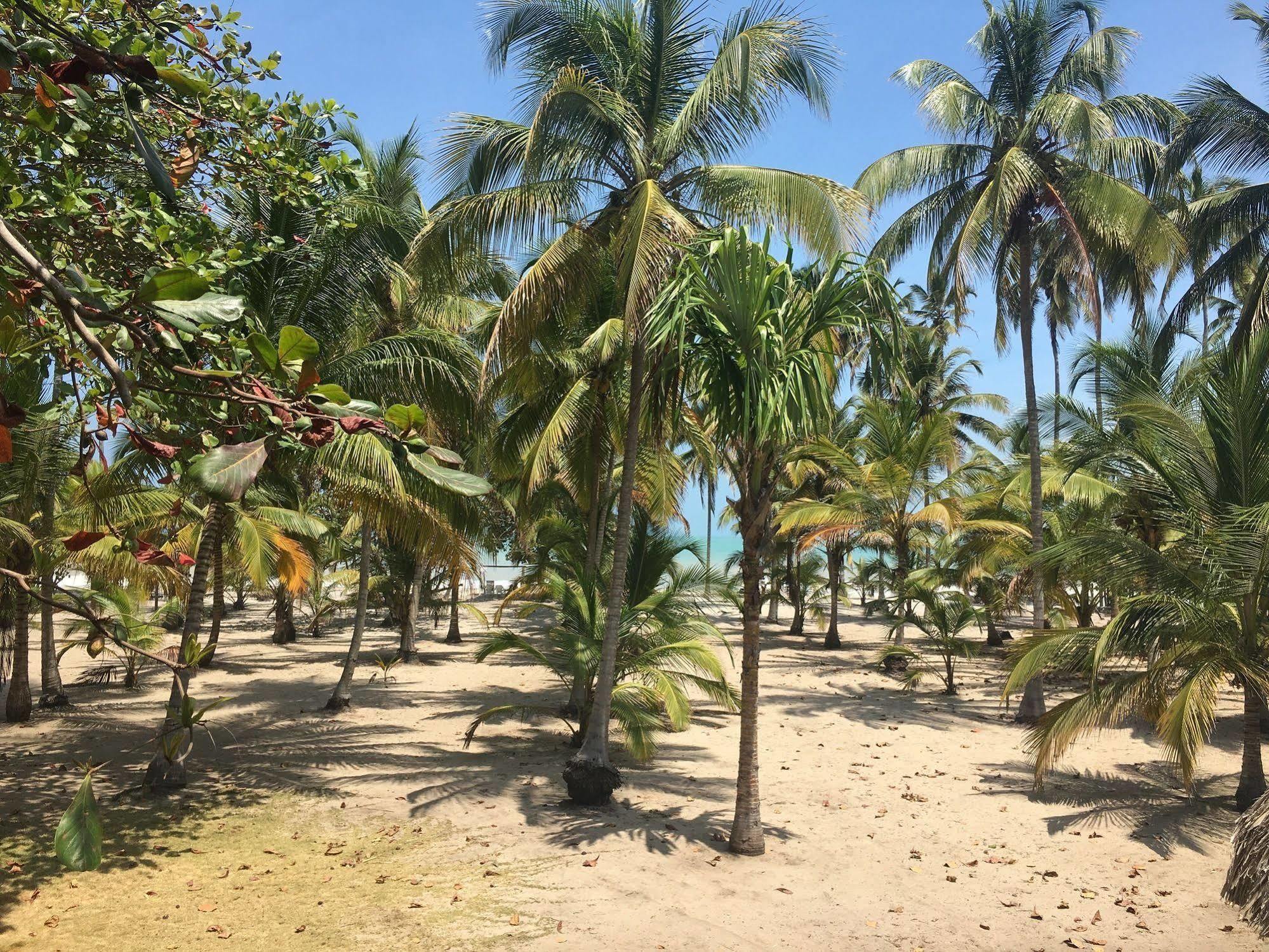 Hotel Playa Mandala Palomino Bagian luar foto