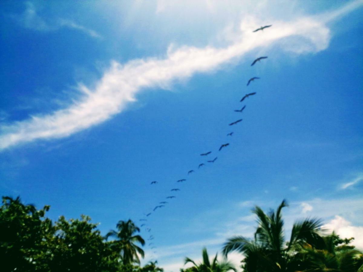Hotel Playa Mandala Palomino Bagian luar foto